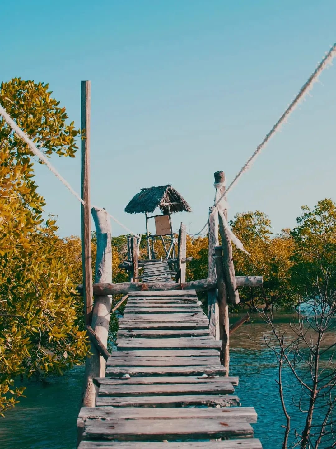Mida Creek