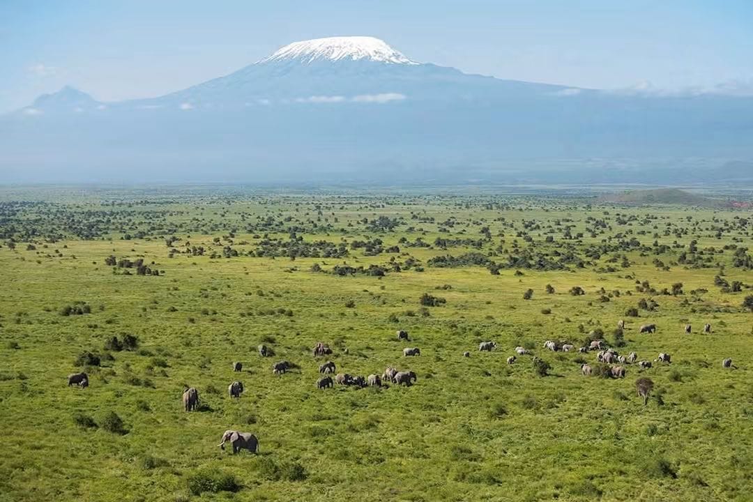 4 Day — Tsavo East + Amboseli + Taita Hills