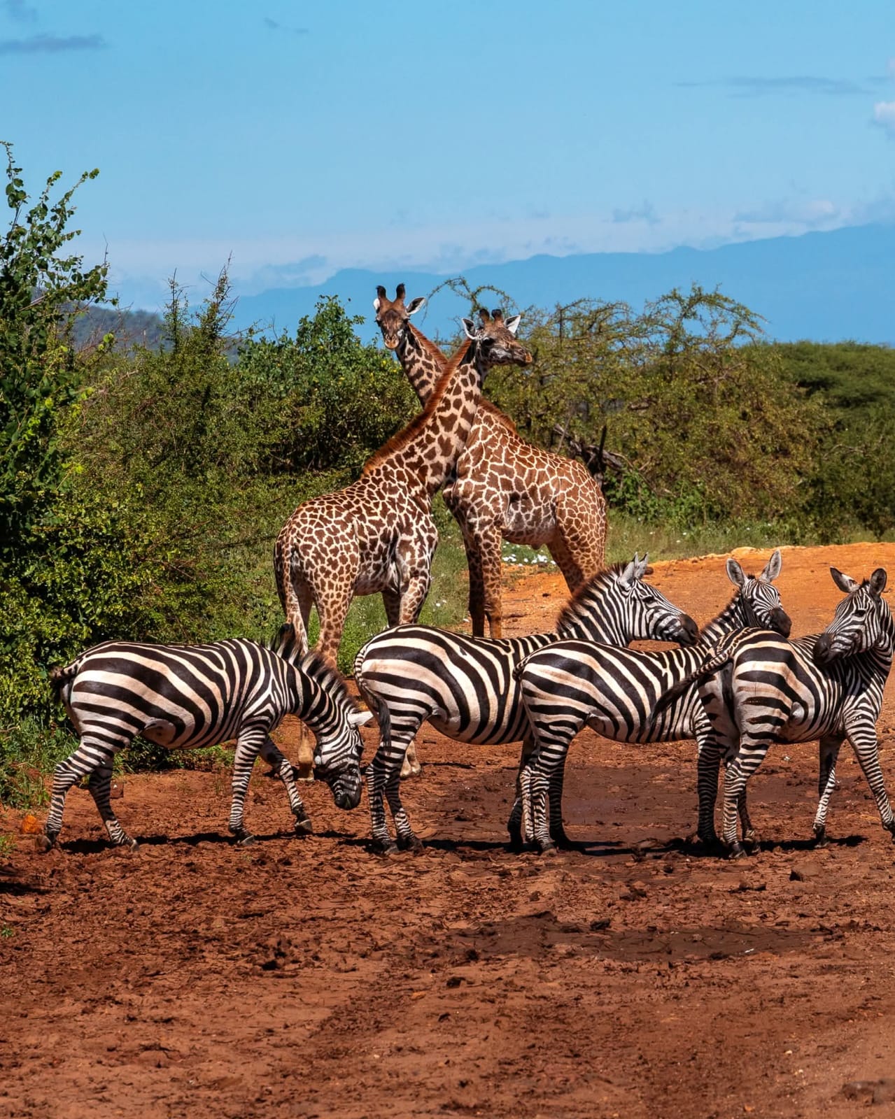 4 Day — Tsavo East + Amboseli + Taita Hills