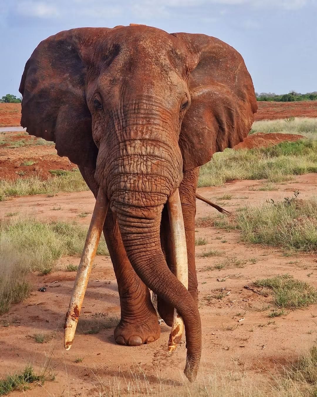 3 Day — Tsavo East + Amboseli