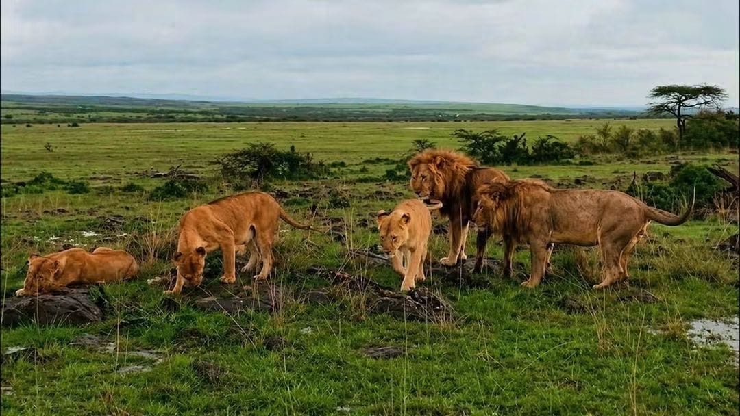 3 Day — Tsavo East + Amboseli