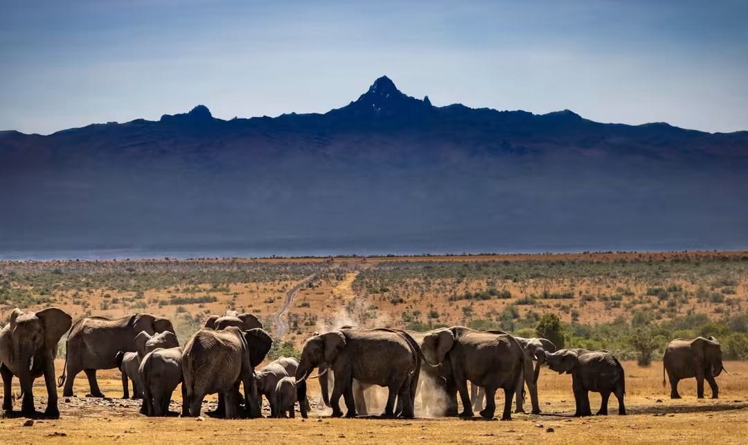4 Day — Tsavo East + Amboseli + Taita Hills