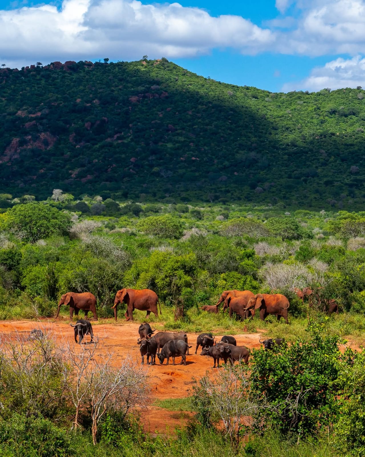 3 Day — Maasai Mara