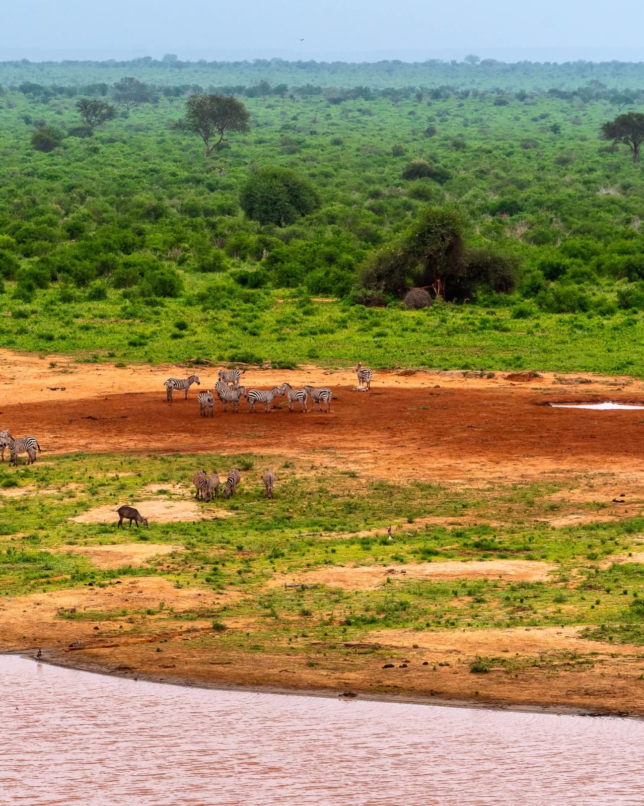 7 Day — Masai Mara • Lake Naivasha • Amboseli • Tsavo West • Tsavo East